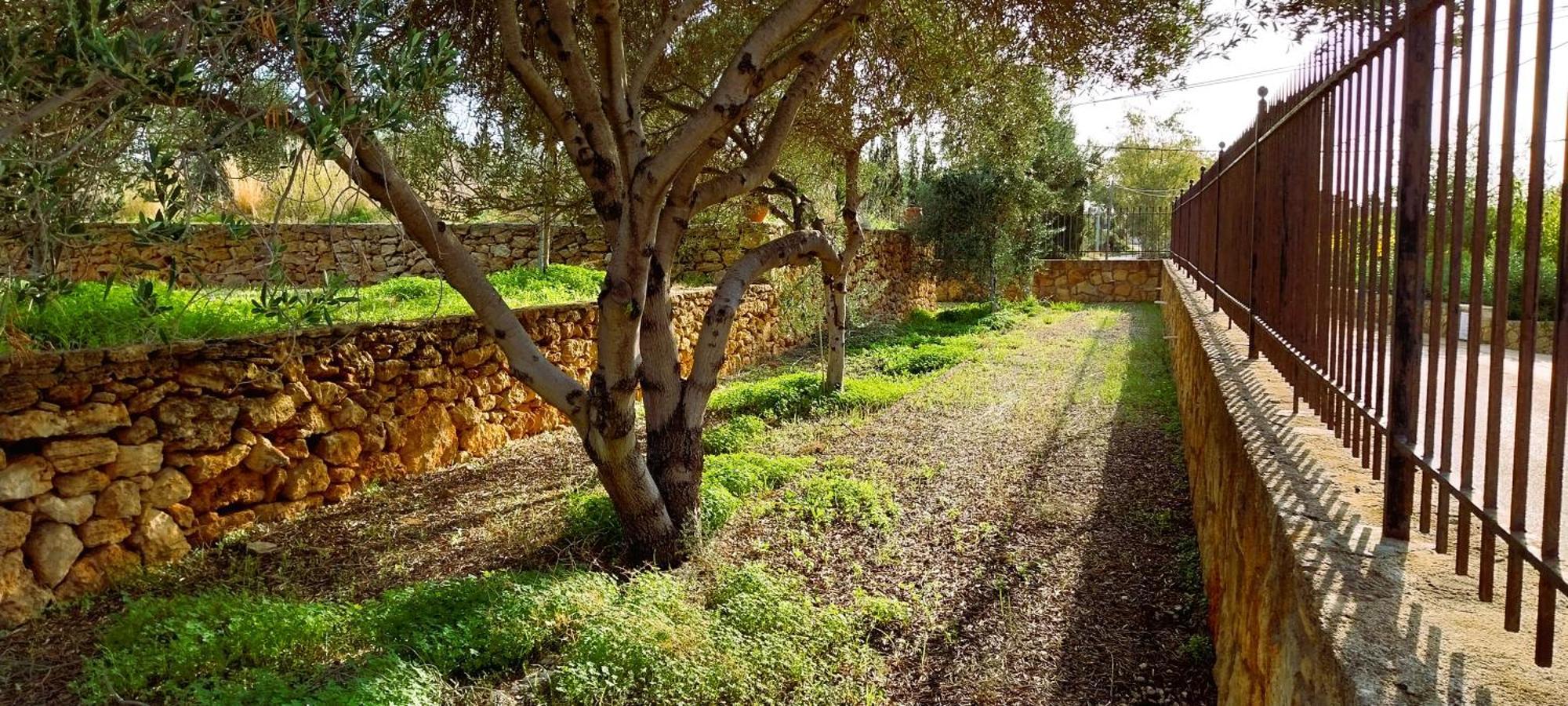 ליקסורי Mondo Cosseri Villa Rossa-Dorothea And Mondo Cosseri Villa Rossa-Penelope, With Own Shared Pool מראה חיצוני תמונה