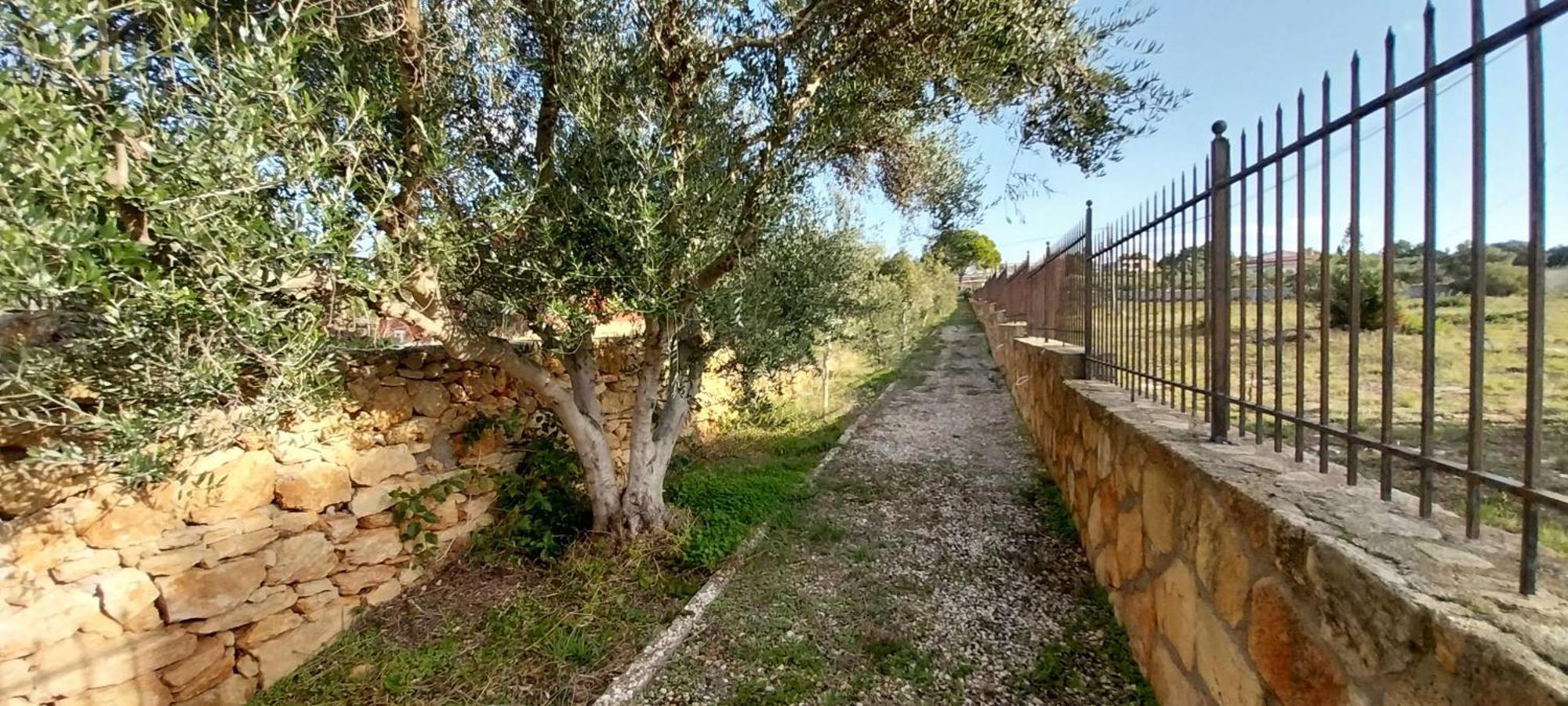 ליקסורי Mondo Cosseri Villa Rossa-Dorothea And Mondo Cosseri Villa Rossa-Penelope, With Own Shared Pool מראה חיצוני תמונה