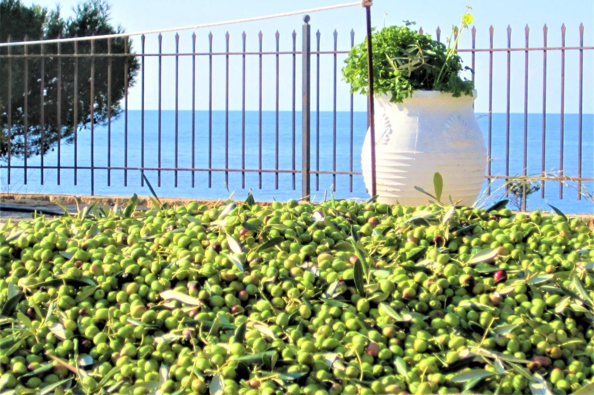 ליקסורי Mondo Cosseri Villa Rossa-Dorothea And Mondo Cosseri Villa Rossa-Penelope, With Own Shared Pool חדר תמונה